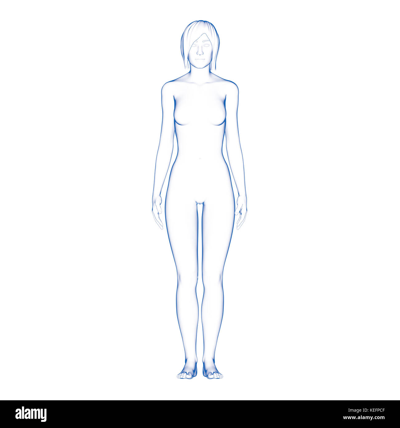 Normal Female Body Visual Woman, Human Female Body Stock Photo - Alamy