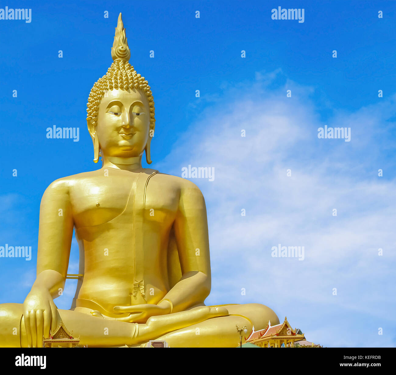 Close Up Great Buddha of Thailand Stock Photo - Alamy