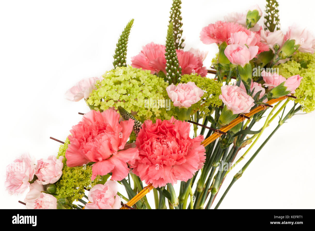 bouquet pink carnation on a white background closeup. Valentine's Day