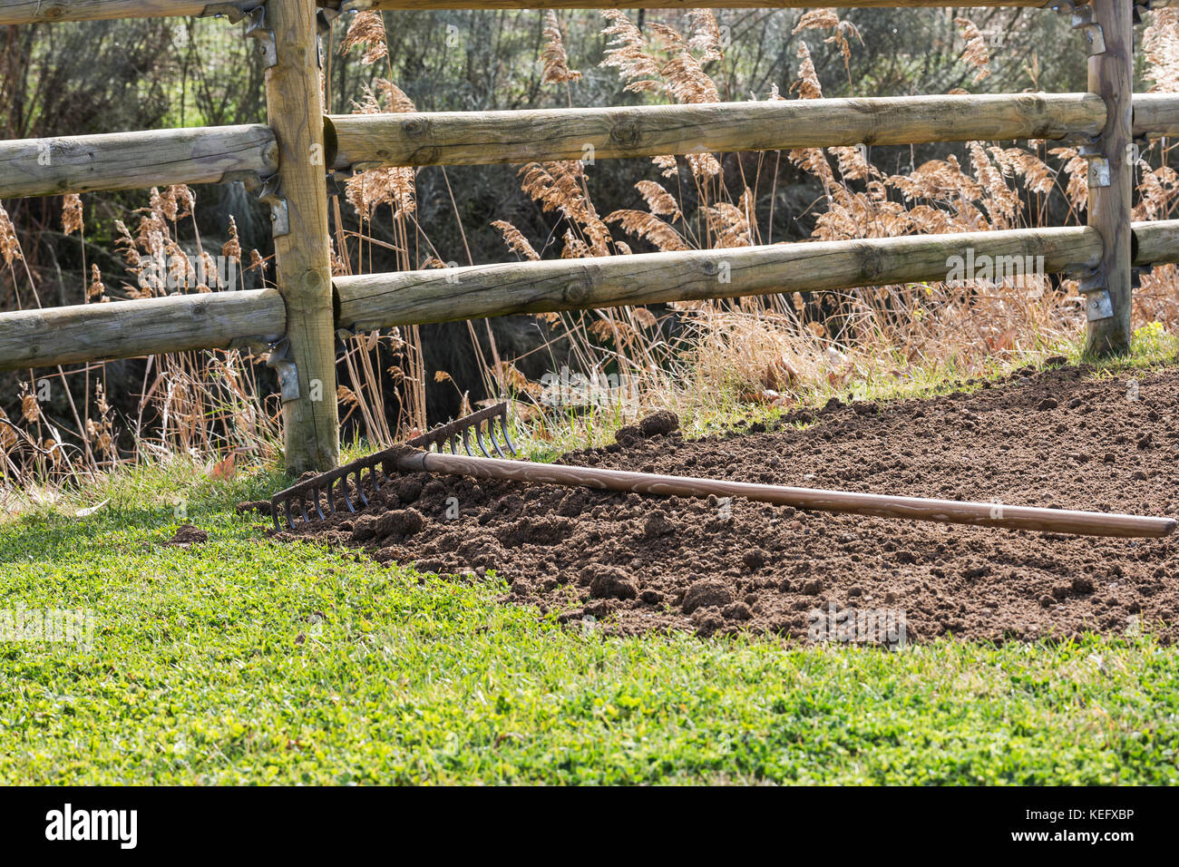 rake on pile of organic fertilizer and green grass close to the fence ...