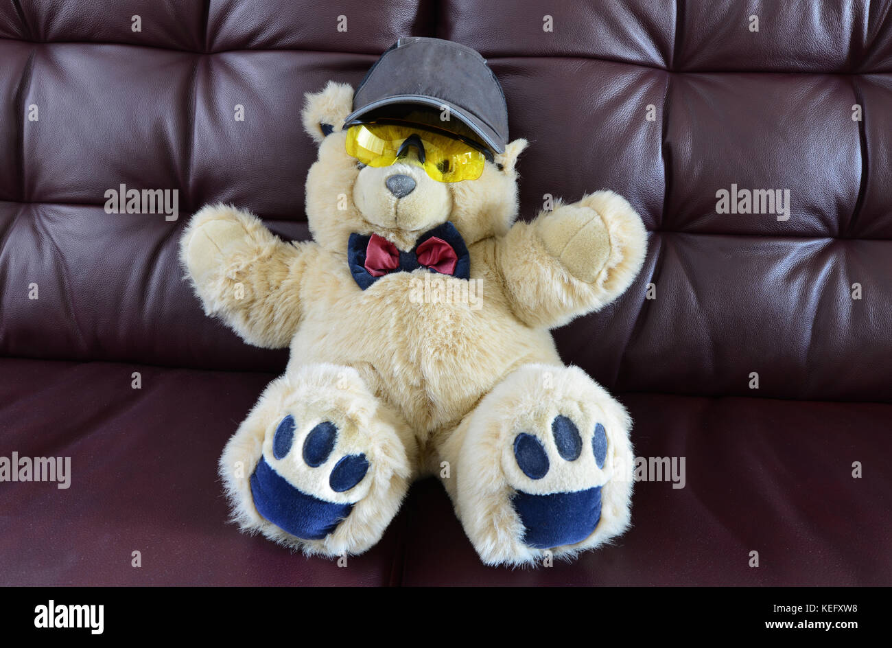 View of Teddy bear wearing safety equipment Stock Photo - Alamy