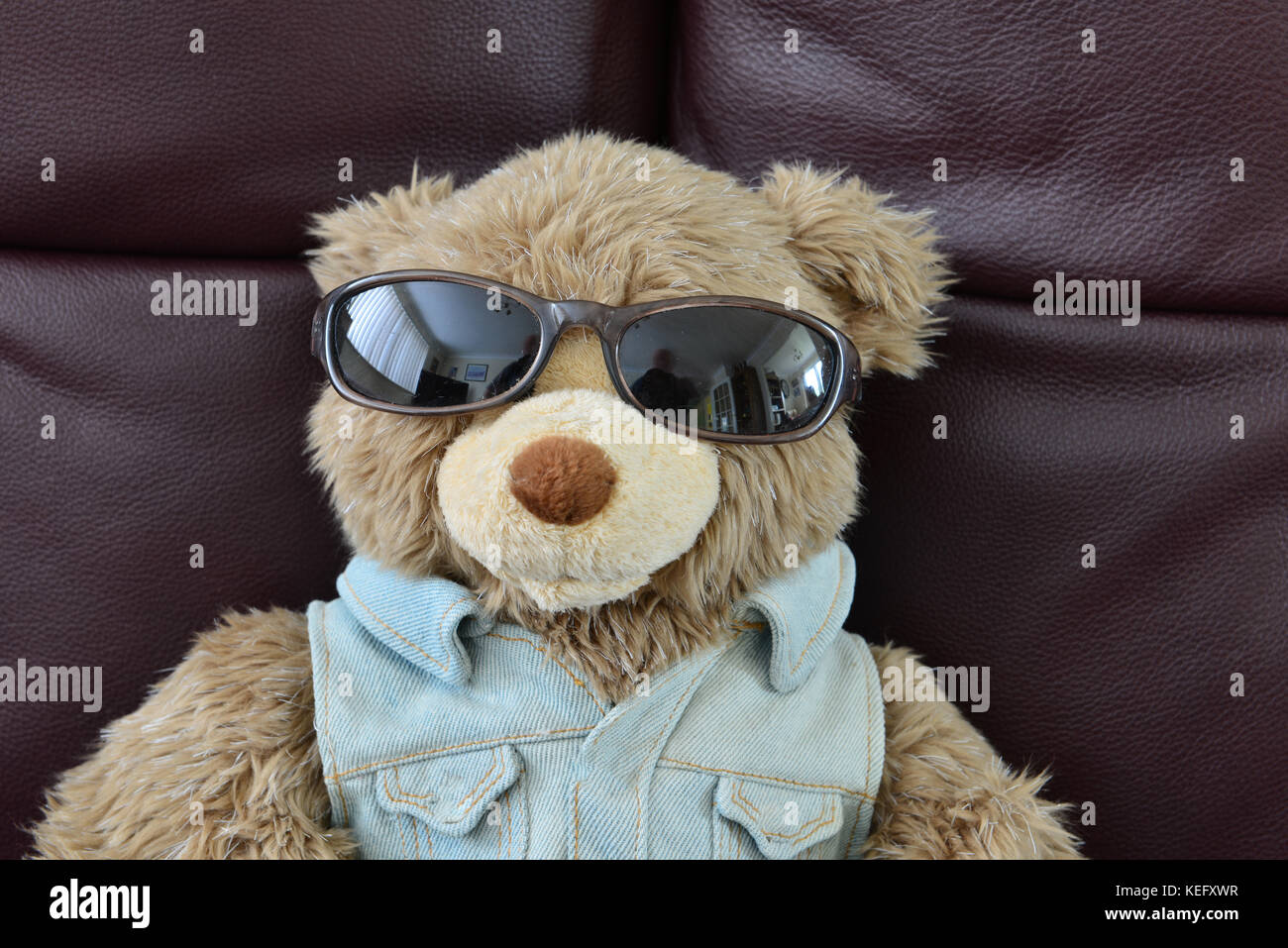 teddy bear with sunglasses