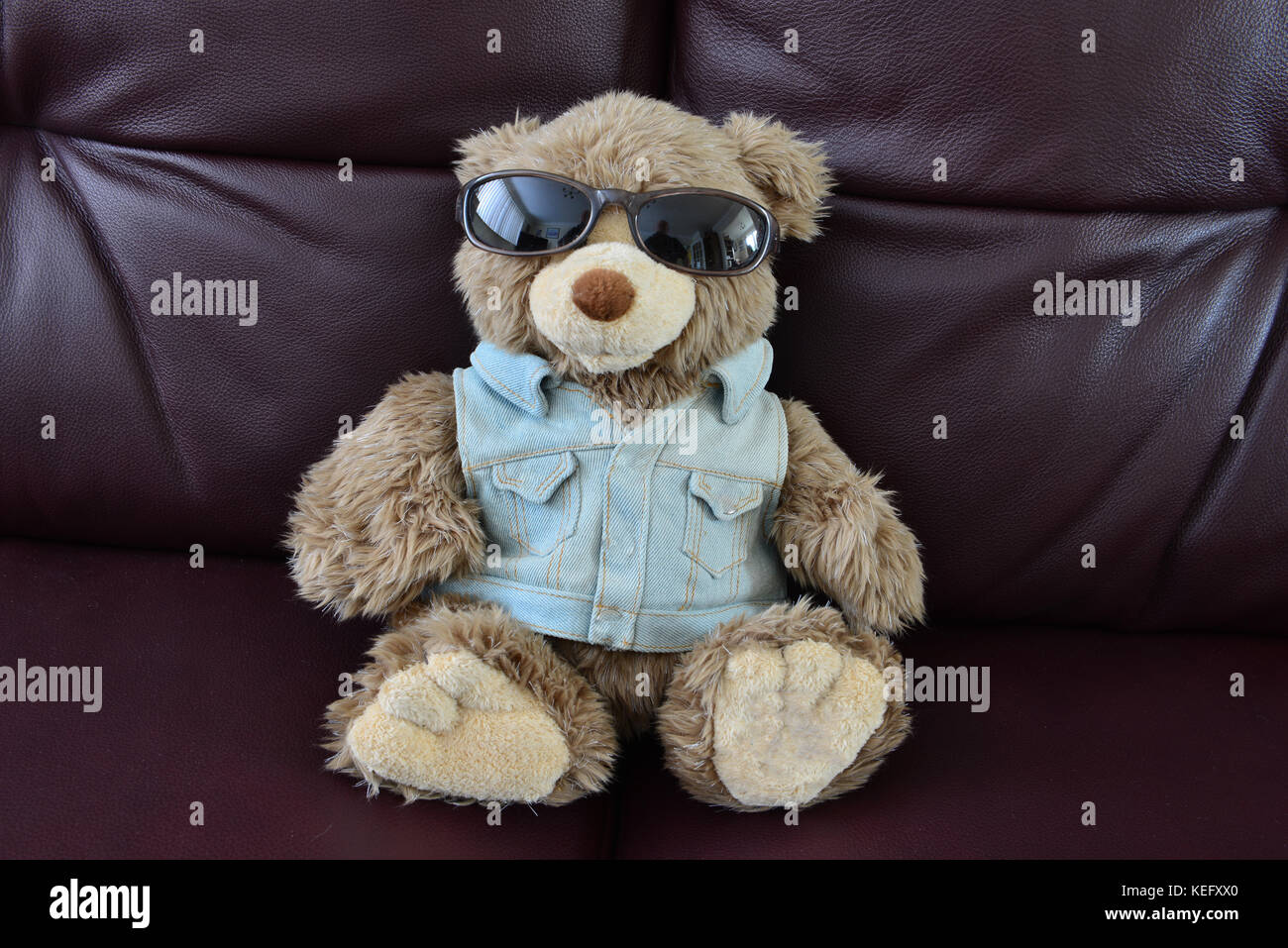 Teddy jacket hi-res stock photography and images - Alamy