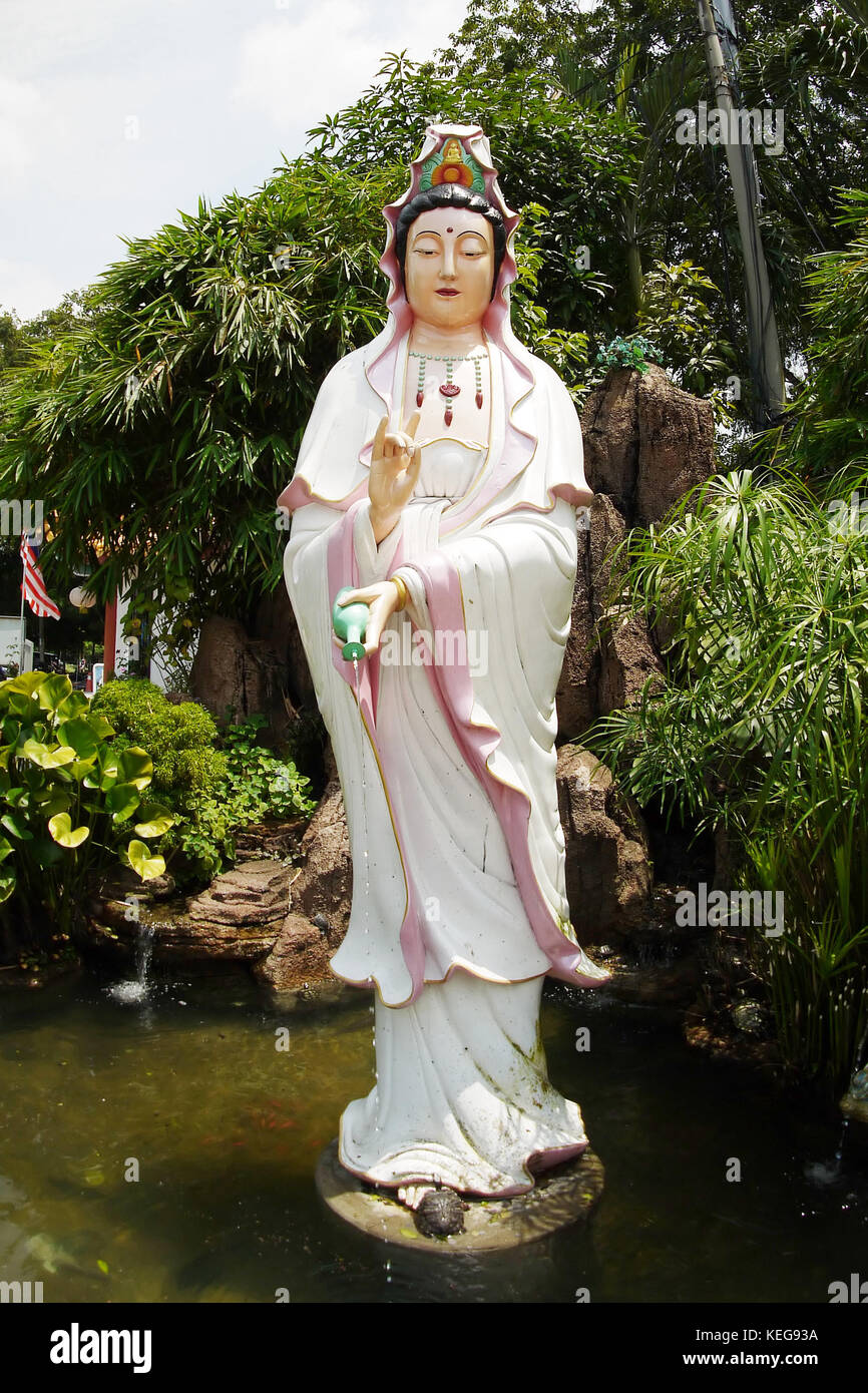 Goddess of mercy plant hires stock photography and images Alamy