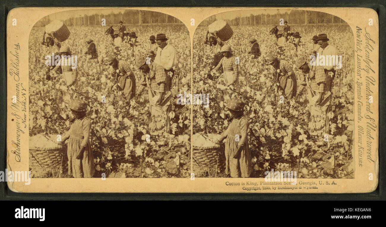 Cotton is king A plantation scene, by Strohmeyer & Wyman 3