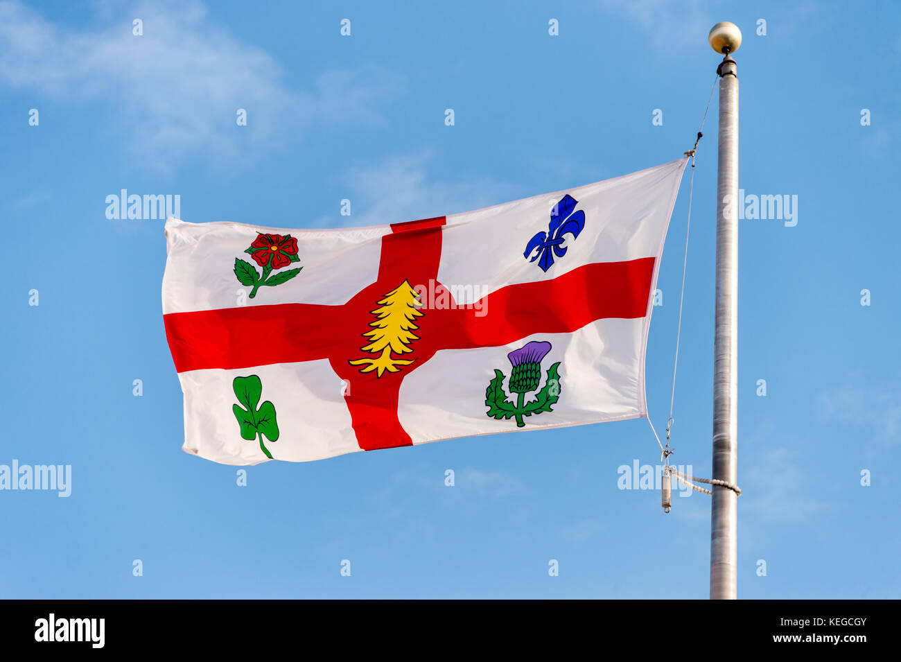 New montreal flag now includes a new symbol (white pine) to represent First Nations on the flag (2017) Stock Photo