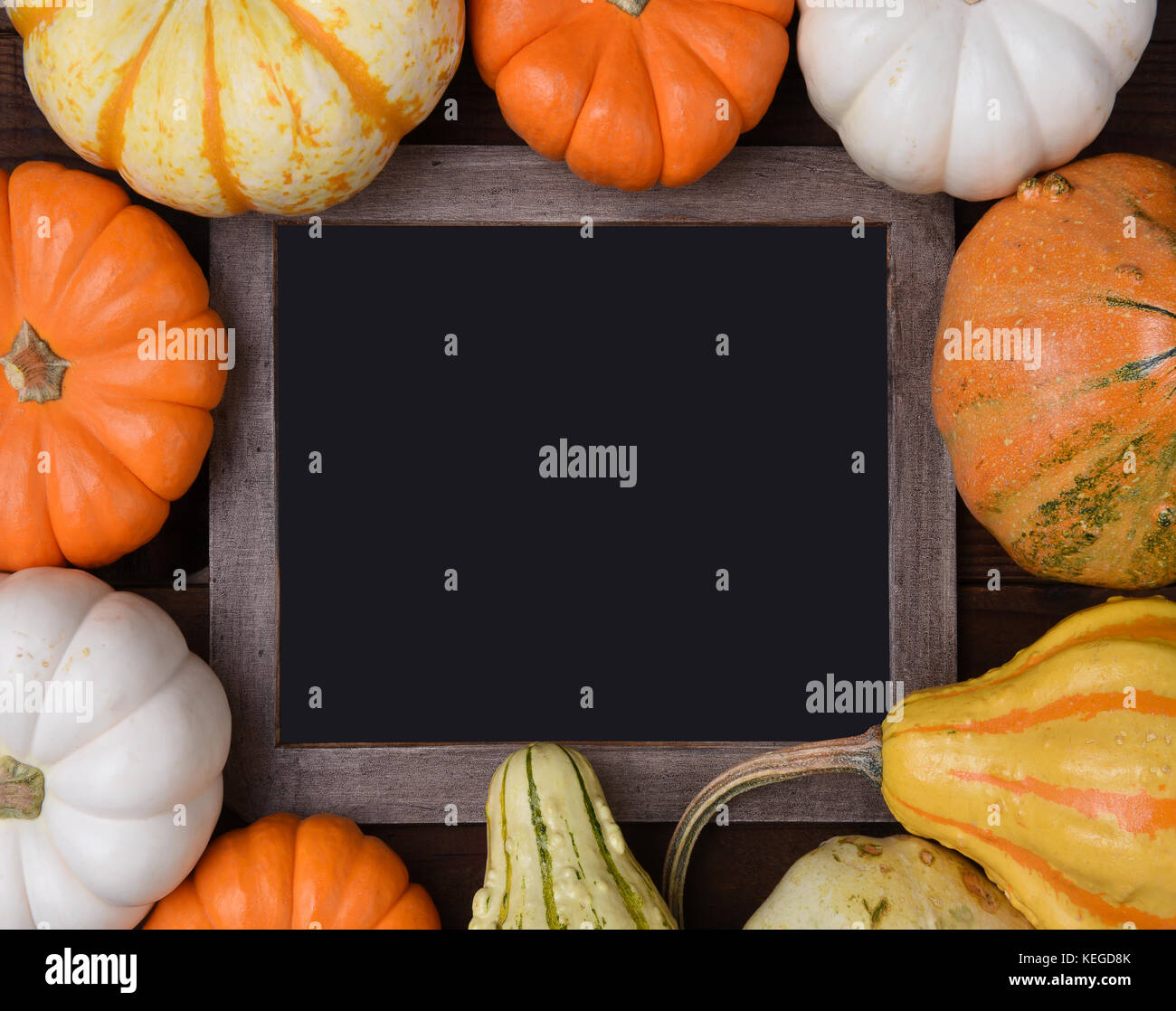 Overhead view of a group of assorted Autumn pumpkins, gourds and squash surrounding a blank chalkboard. Stock Photo