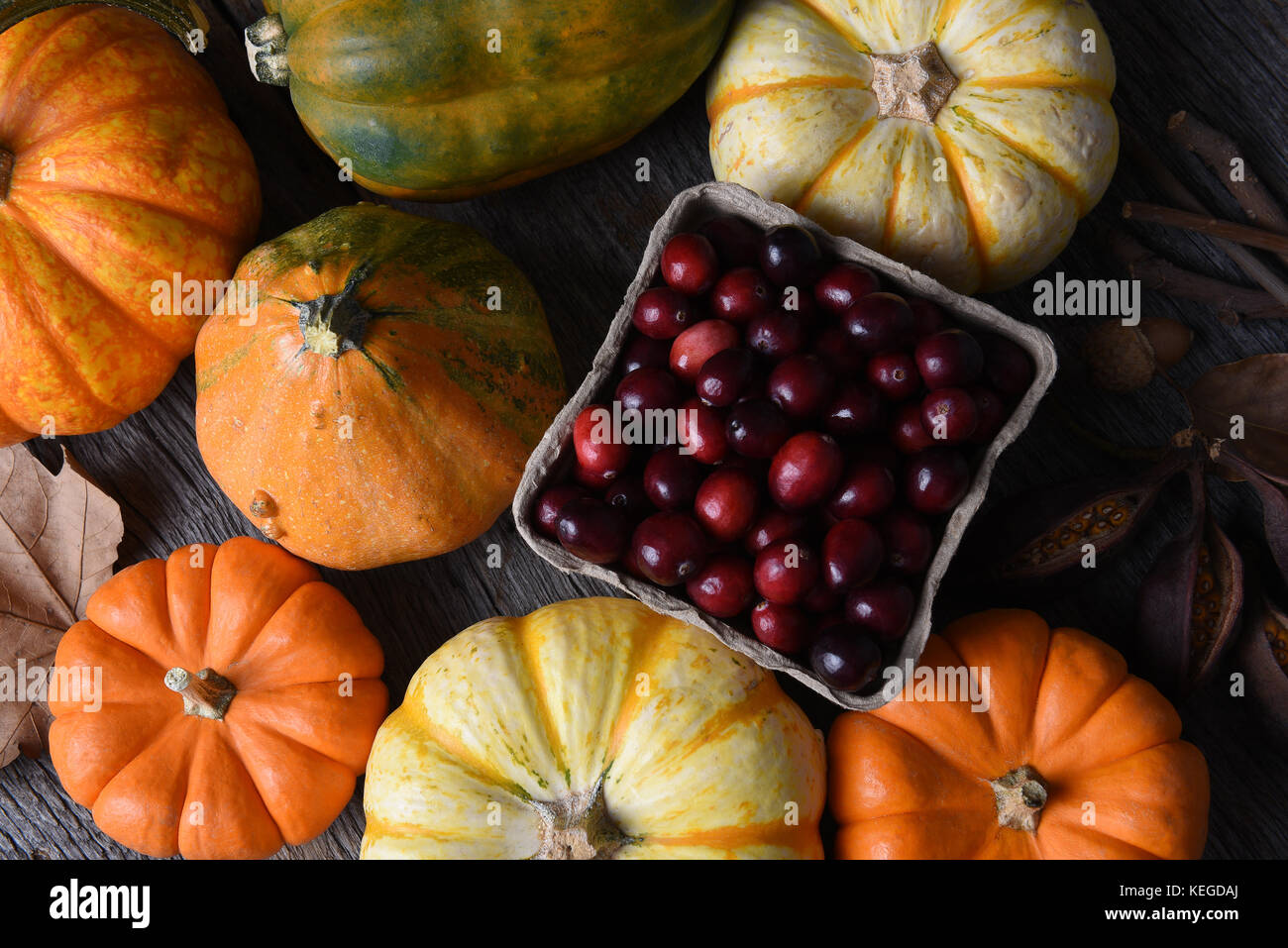 Autumn Still Life: Top view of an assortment of Fall decorative gourds, squash and pumpkins around a basket of fresh cranberries. Stock Photo