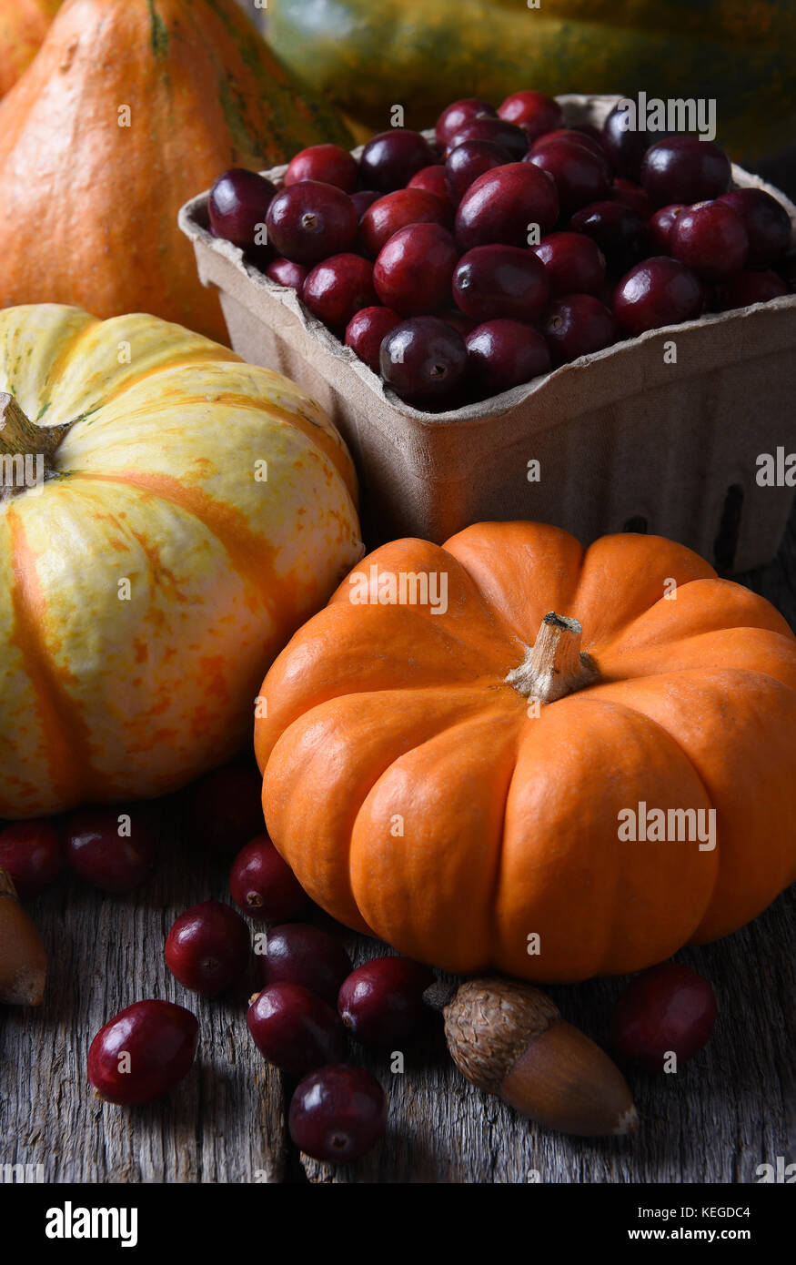 Autumn Still Life: Vertical shot with decorative pumpkins gourds and basket of fresh cranberries. Stock Photo