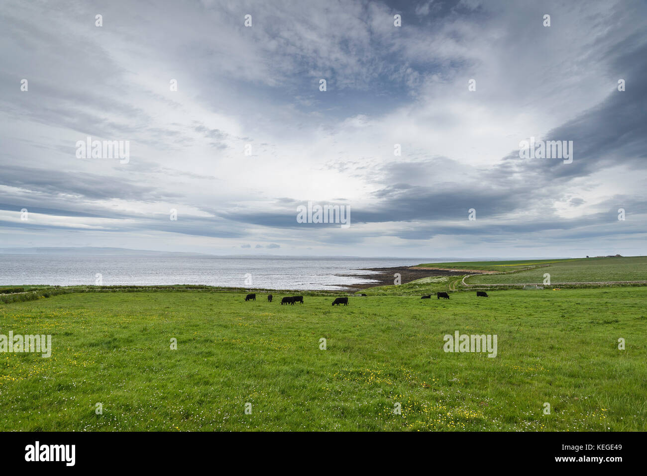 rural landscapes in Caithness Stock Photo Alamy