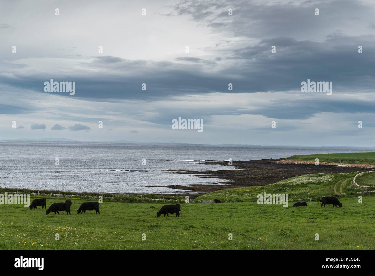 rural landscapes in Caithness Stock Photo Alamy