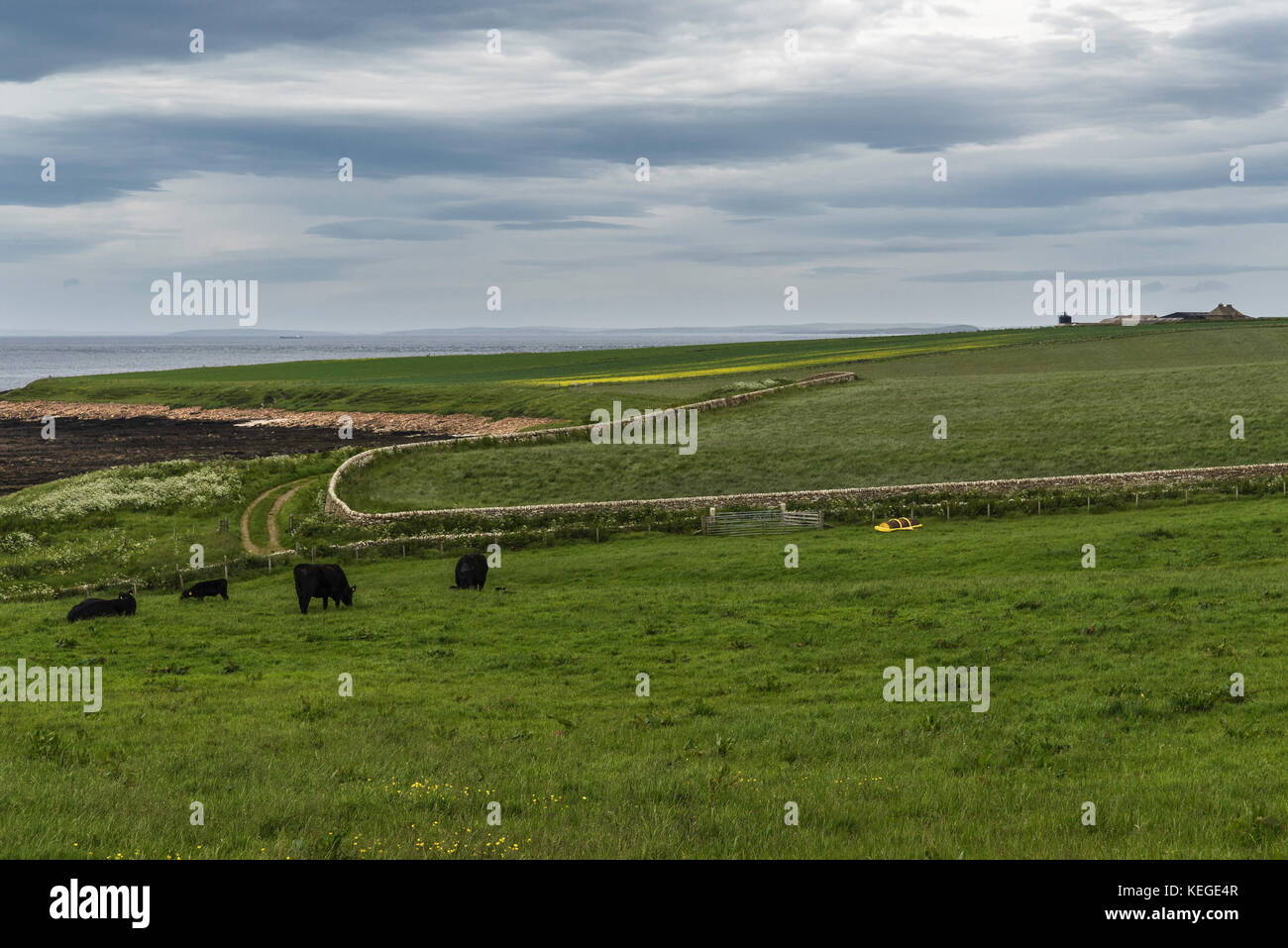 rural landscapes in Caithness Stock Photo Alamy