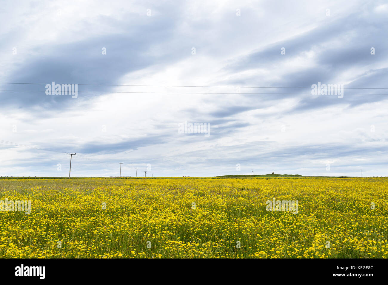 rural landscapes in Caithness Stock Photo Alamy