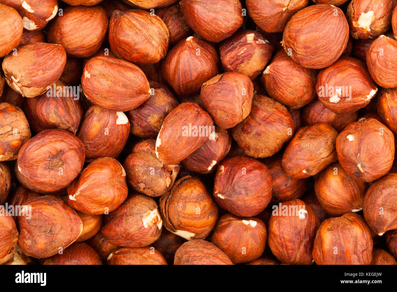 Hazelnut High Resolution Stock Photography and Images Alamy