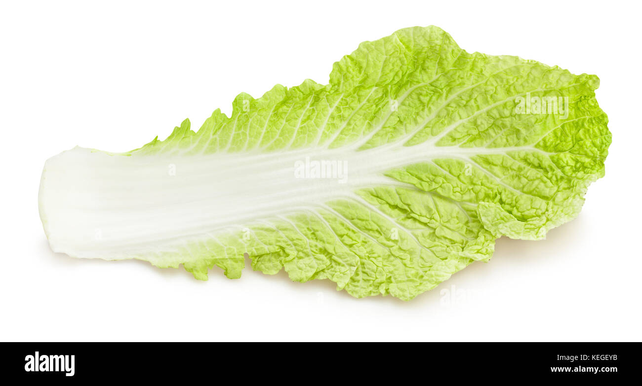 chinese cabbage leaf path isolated Stock Photo