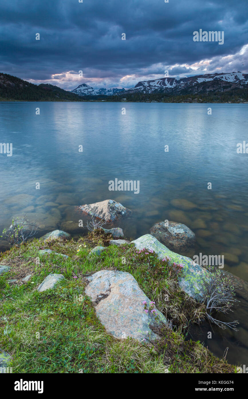 Outlet of Island Lake in the Shoshone National Forest of Wyoming Stock Photo