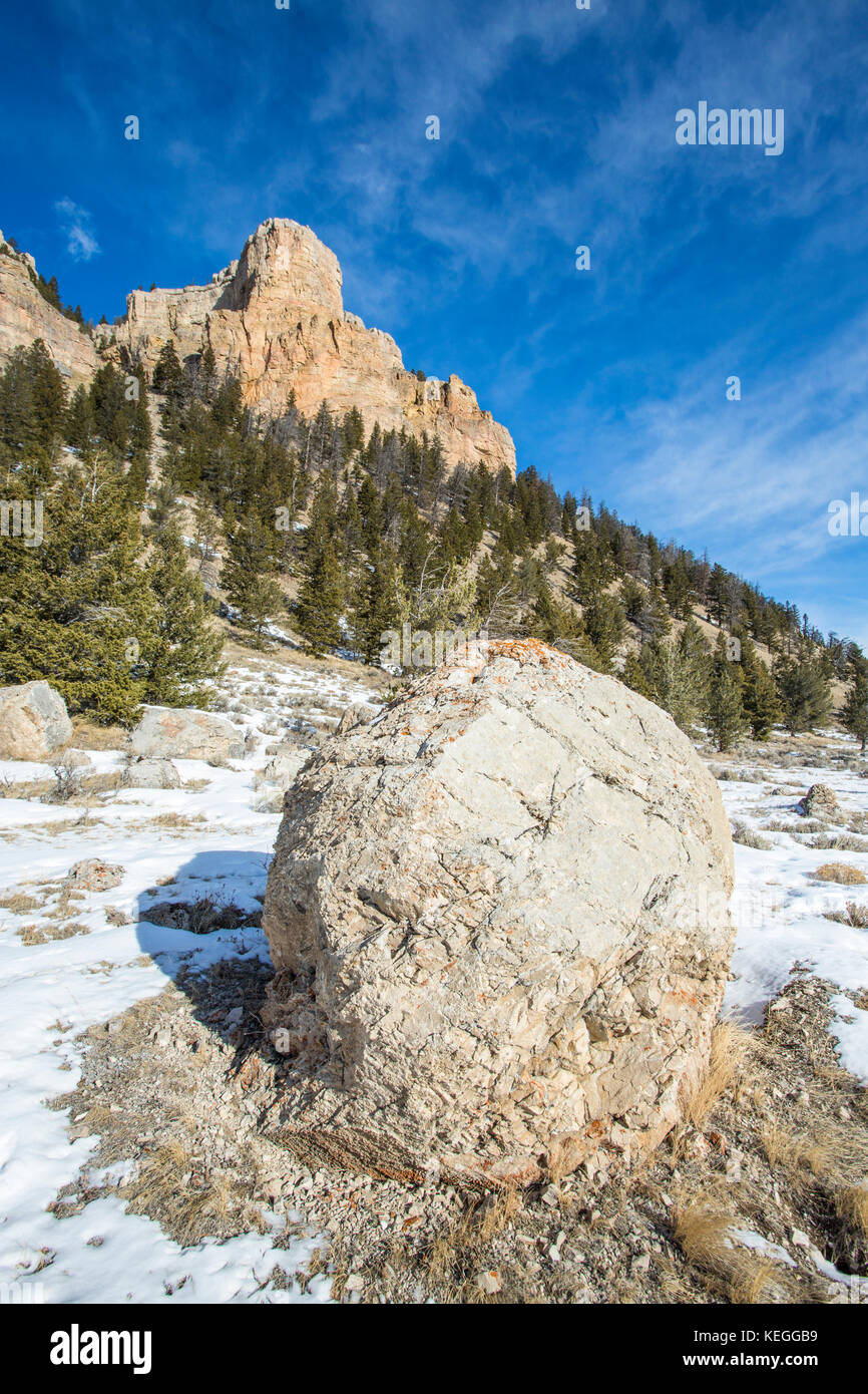 Winter in the Sunlight Basin of the Shoshone National Forest Wyoming
