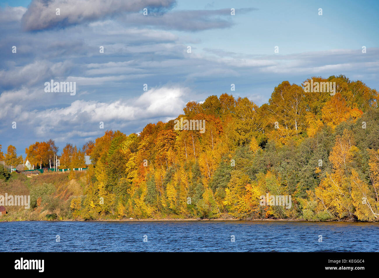Picture of Forest by River in Autumn Stock Photo - Alamy