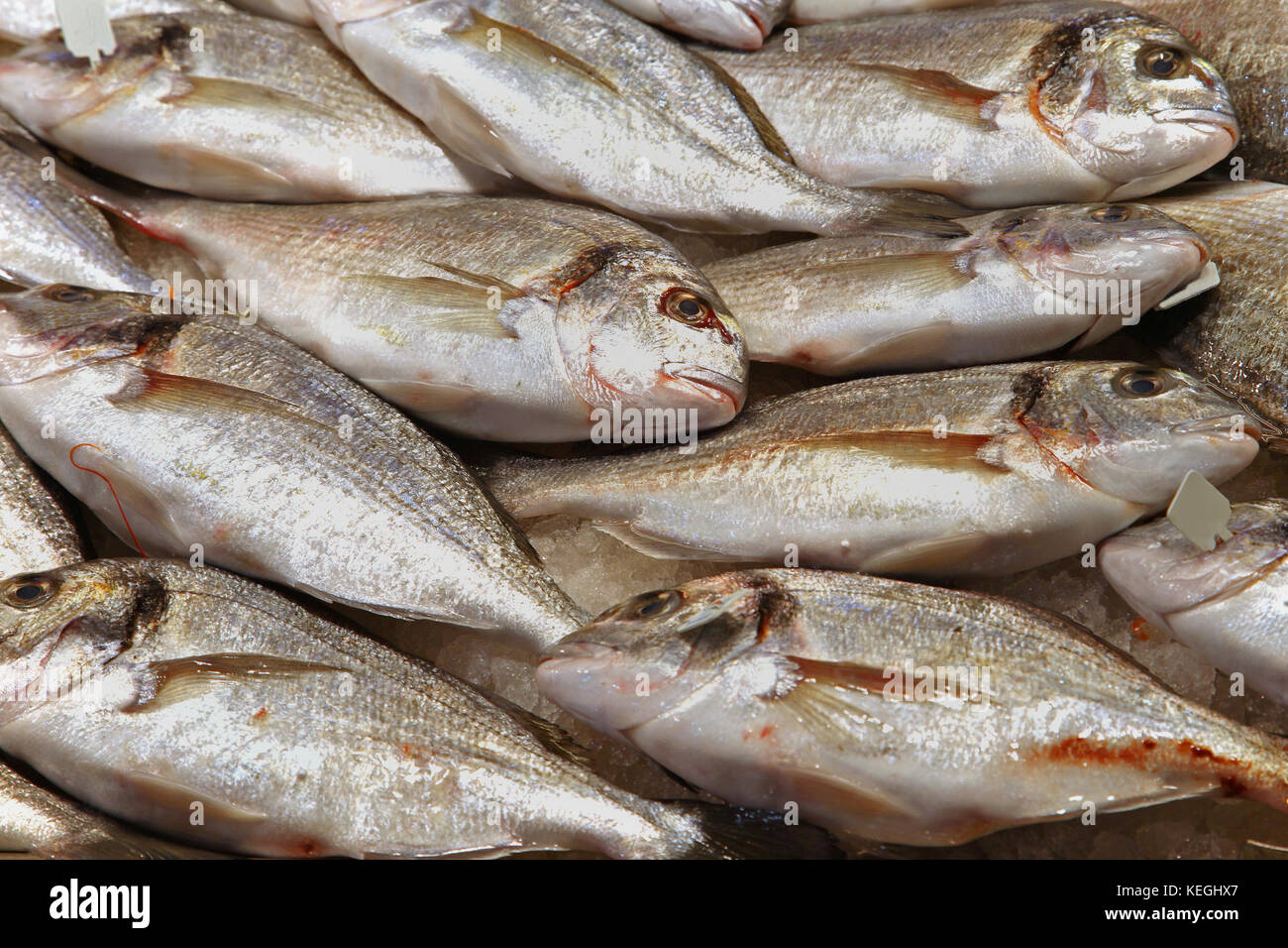 Pile of freshly caught seabass fish sold on market Stock Photo Alamy