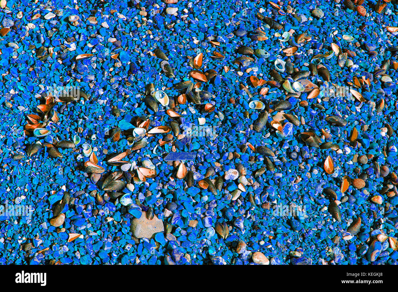 Art photography of beach-stones and shells to make fantasy backgrounds ...