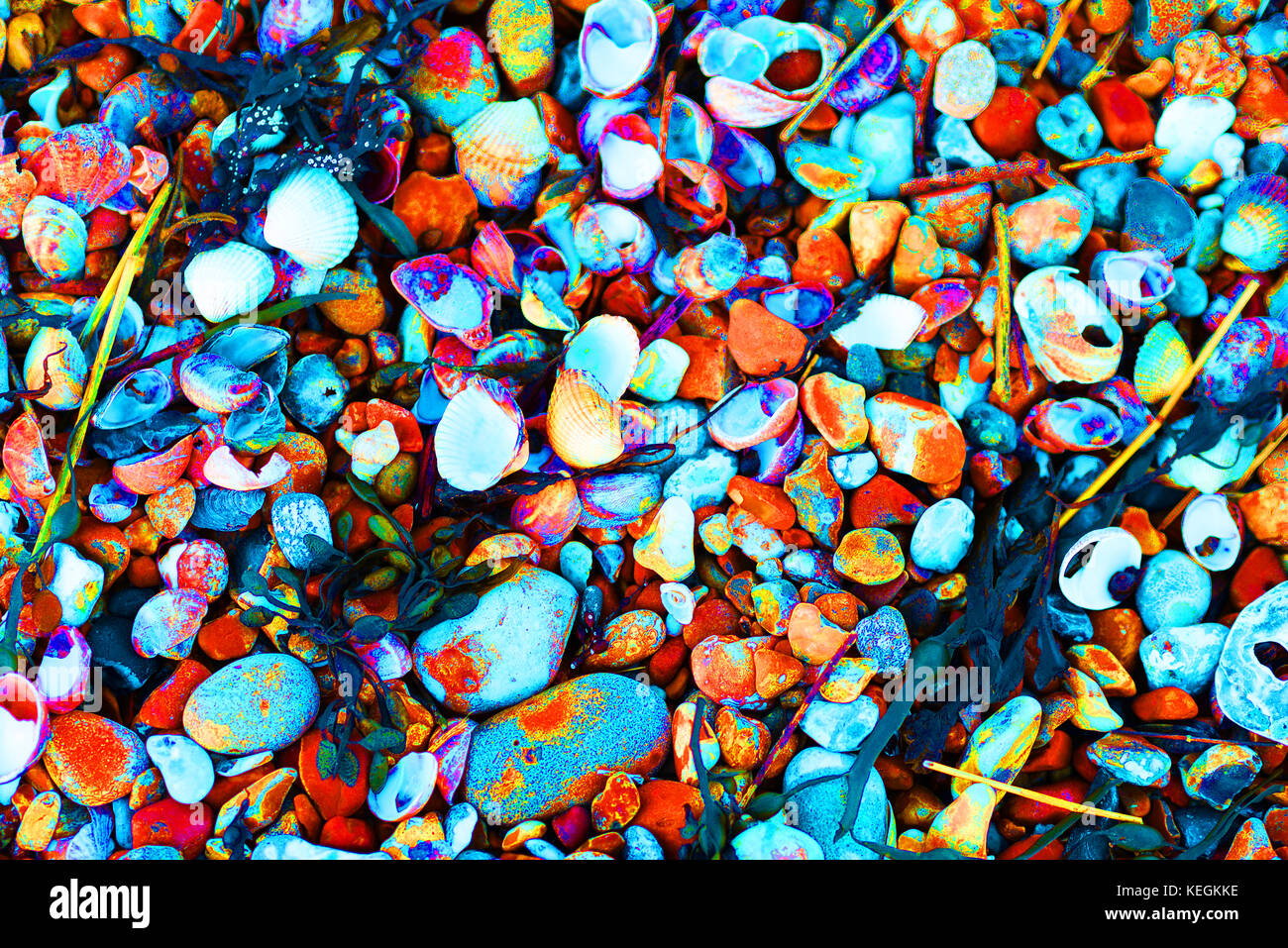 Art photography of beach-stones and shells to make fantasy backgrounds ...