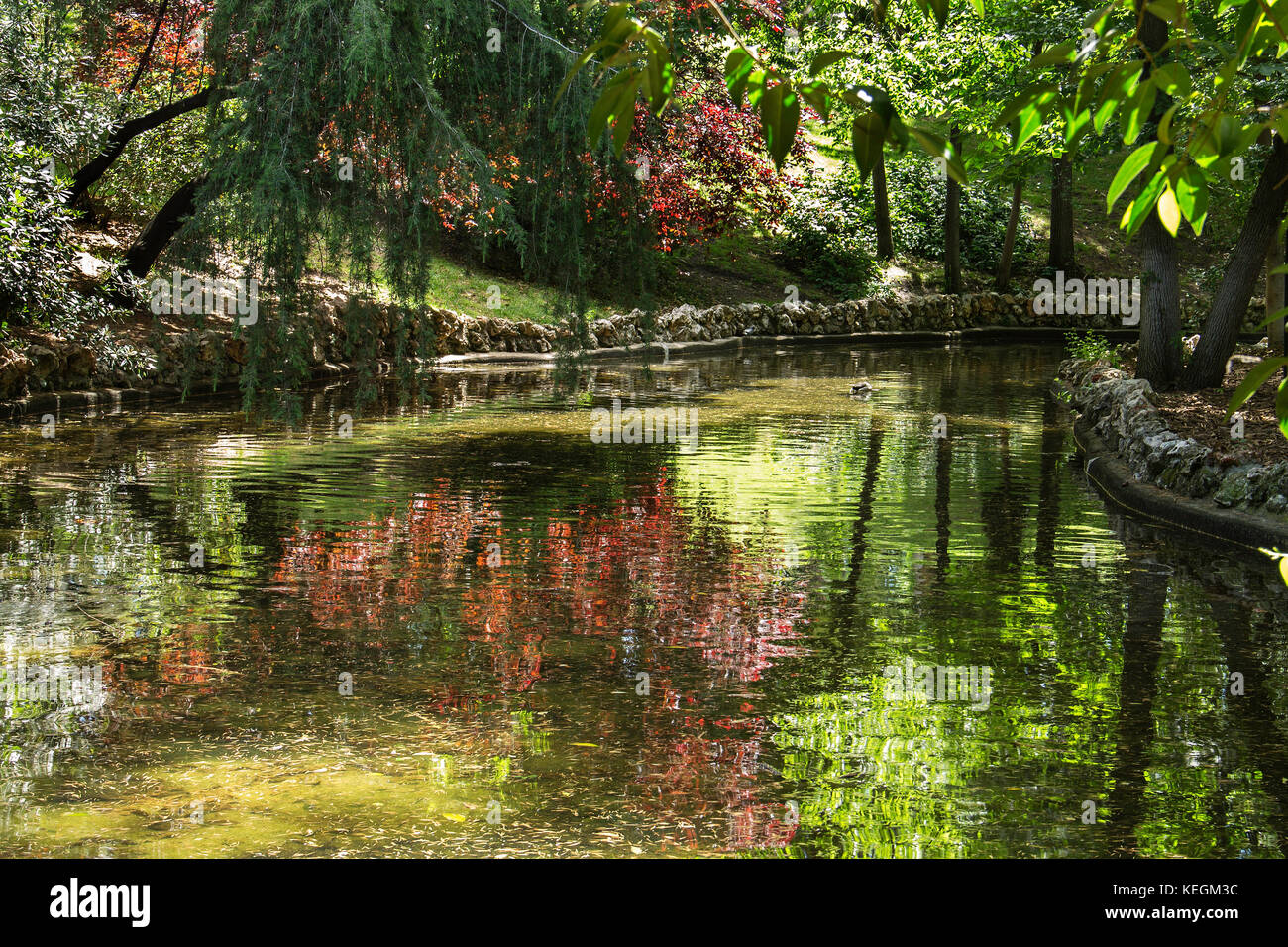 Spring landscape with colors leaves reflecting in the lake. Retiro park, Madrid, Spain Stock Photo