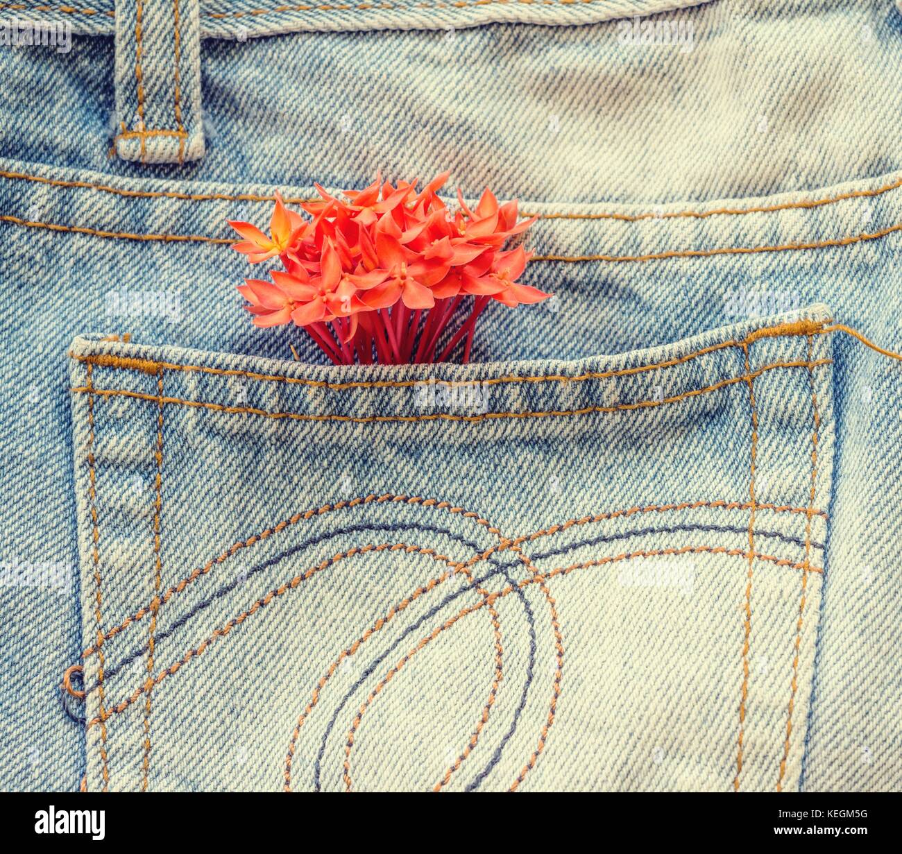 flower on the jeans Stock Photo - Alamy