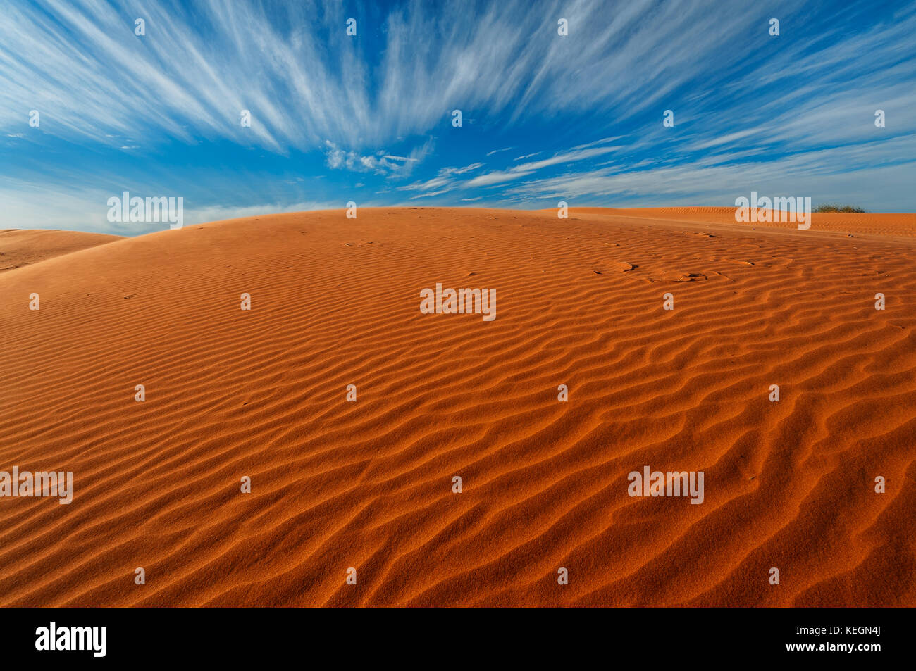 Red dune of famous Simpson Desert. Stock Photo