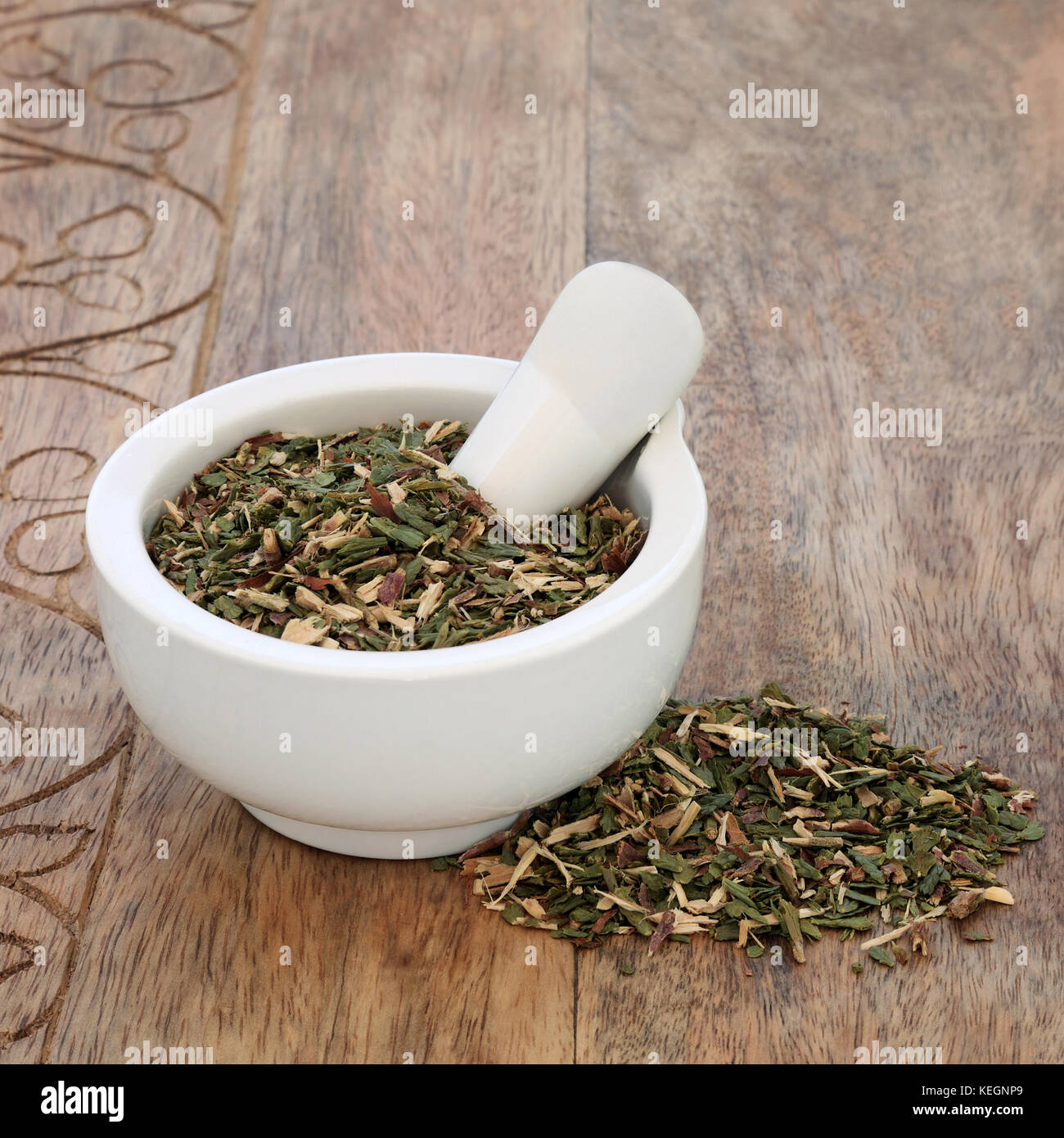 Thuja leaf herb used in alternative herbal medicine to help respiratory tract, bacterial infections and cold sores. Stock Photo