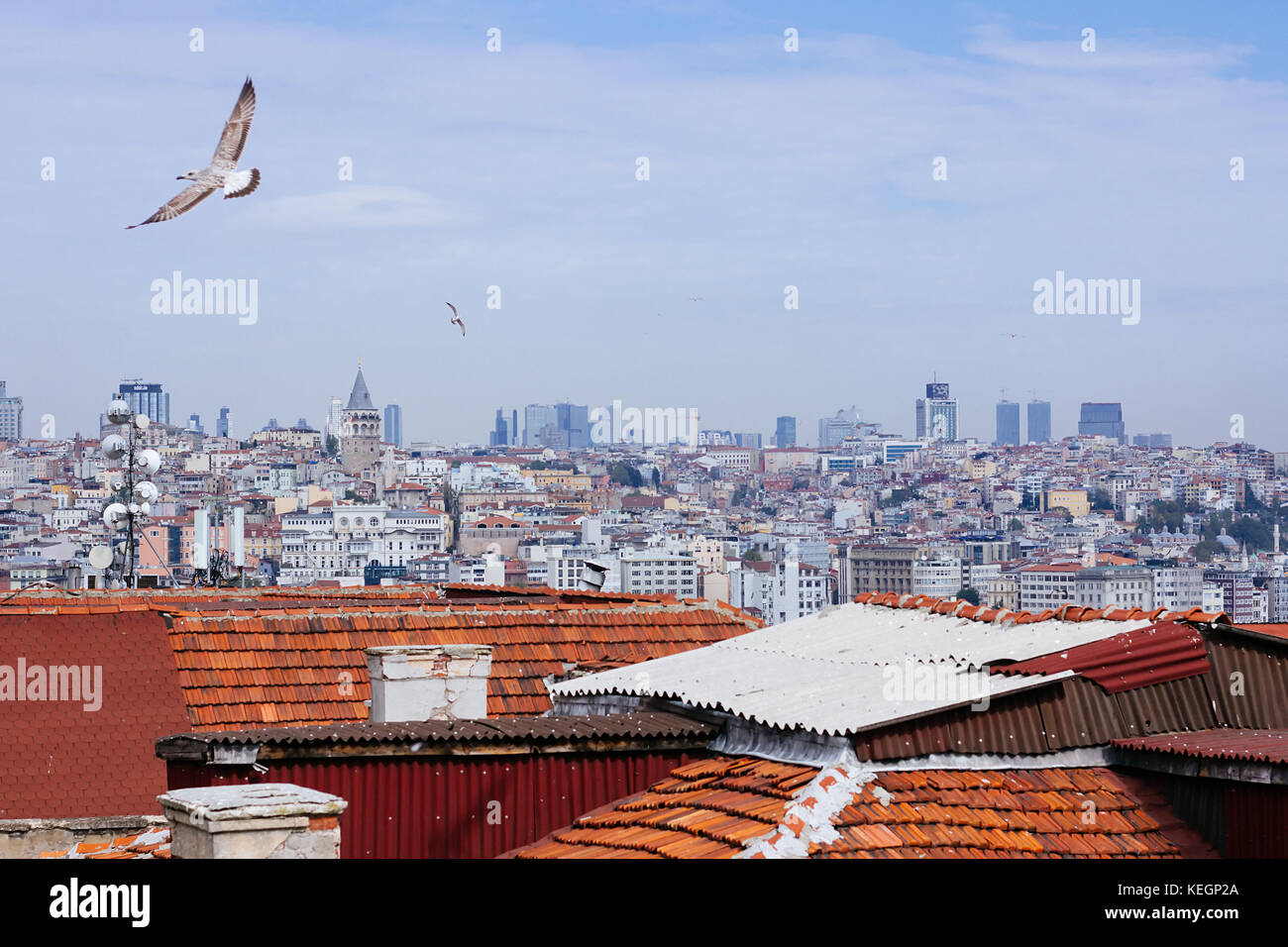 Roofs of Istanbul and flying birds selective focus Stock Photo