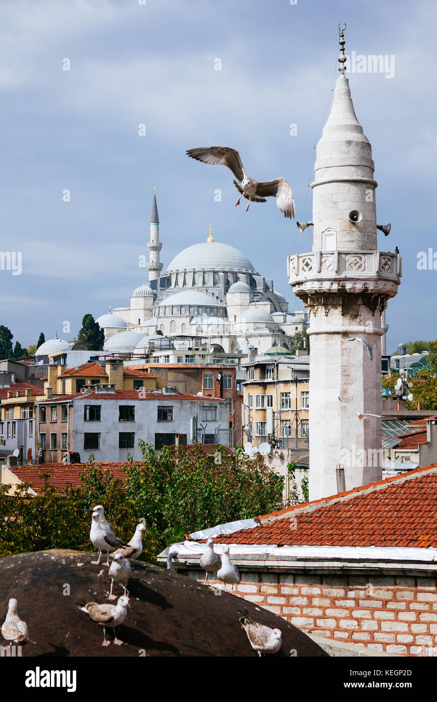 Suleymanie mosque and flying birds selective focus Stock Photo