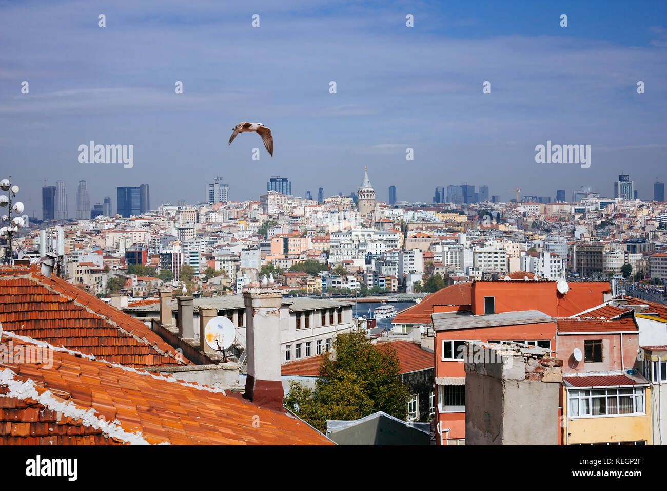 Roofs of Istanbul and flying birds selective focus Stock Photo