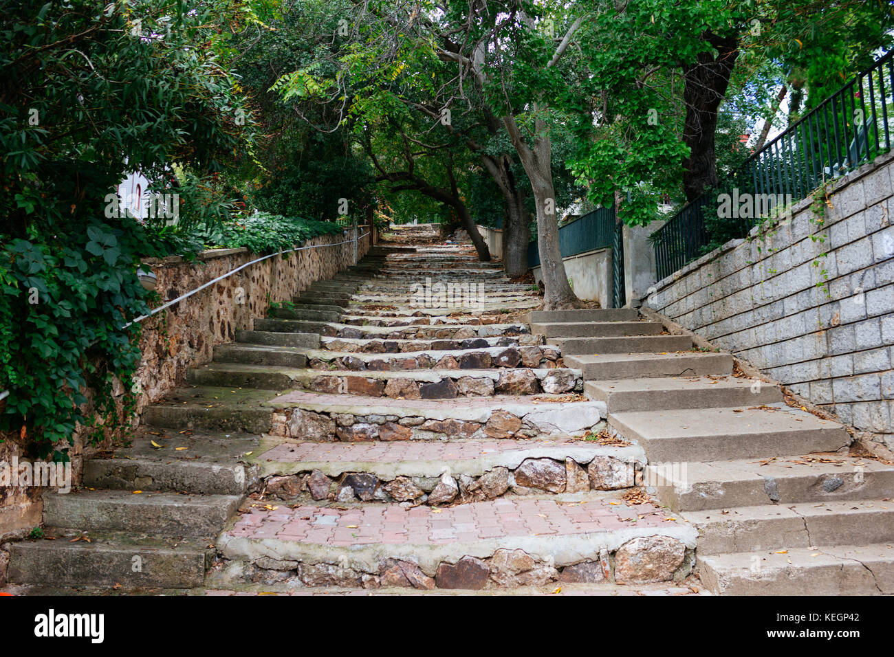 Abandoned tree-lined stairs  selective focus Stock Photo