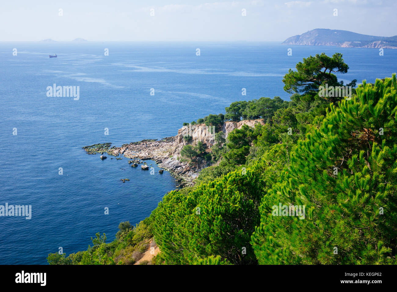 Mountainside covered with pines in Marmara sea selective focus Stock Photo