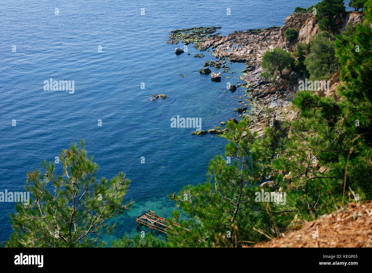 Mountainside covered with pines in Marmara sea selective focus Stock Photo
