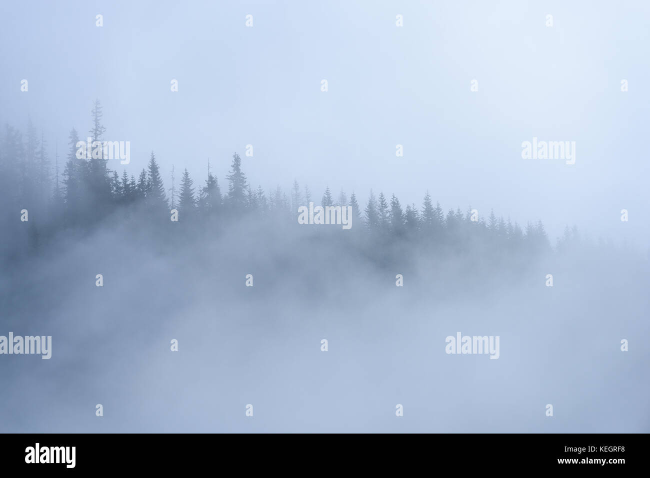 panoramic view of of mountains in misty forest. far horizon Stock Photo ...