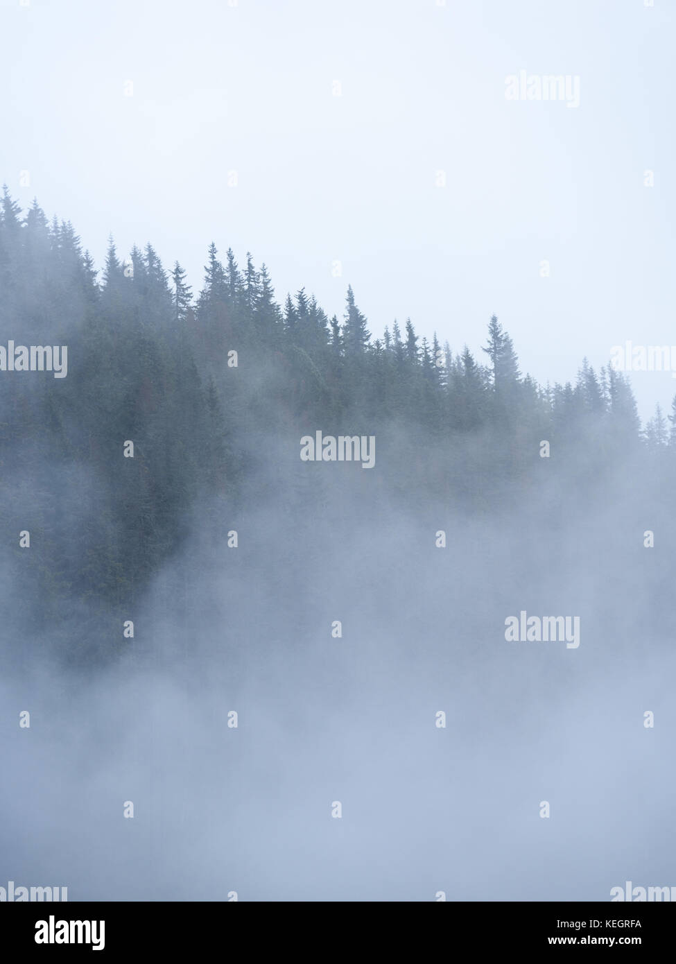 panoramic view of of mountains in misty forest. far horizon Stock Photo ...