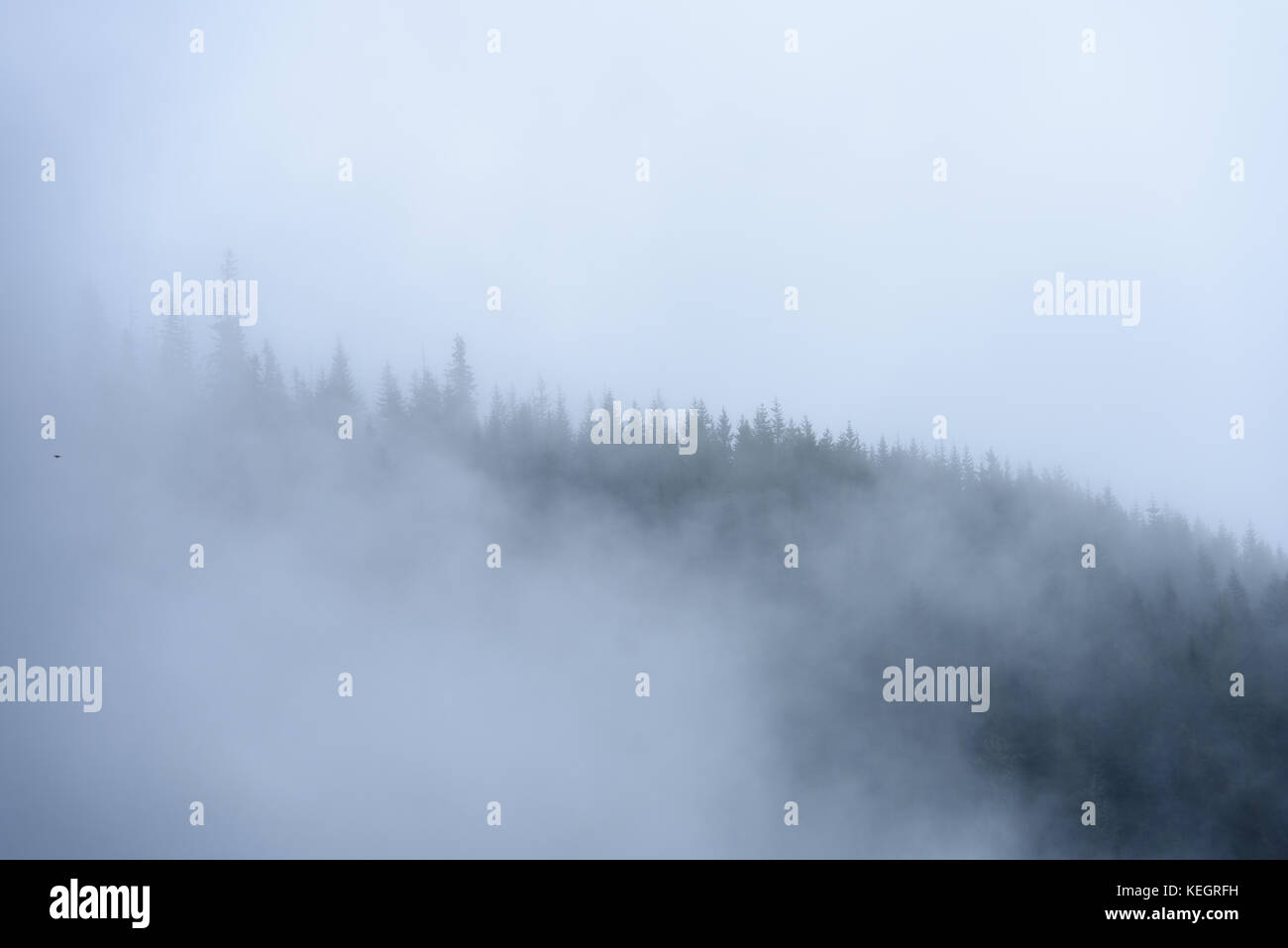 panoramic view of of mountains in misty forest. far horizon Stock Photo ...