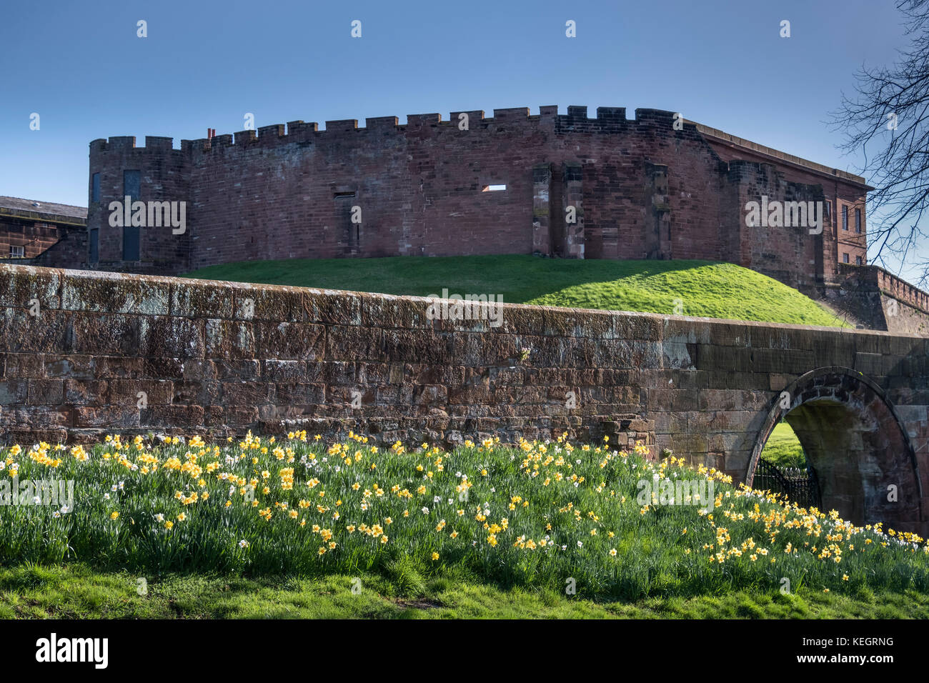 Daffodils below the city walls and Chester Castle, Chester, Cheshire