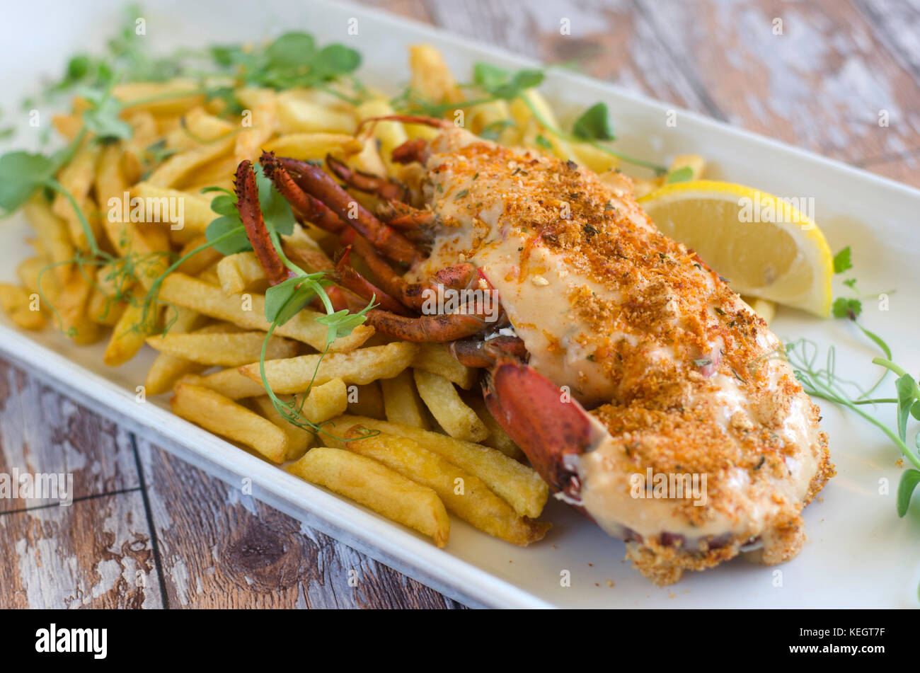 Baked lobster thermidor hires stock photography and images Alamy
