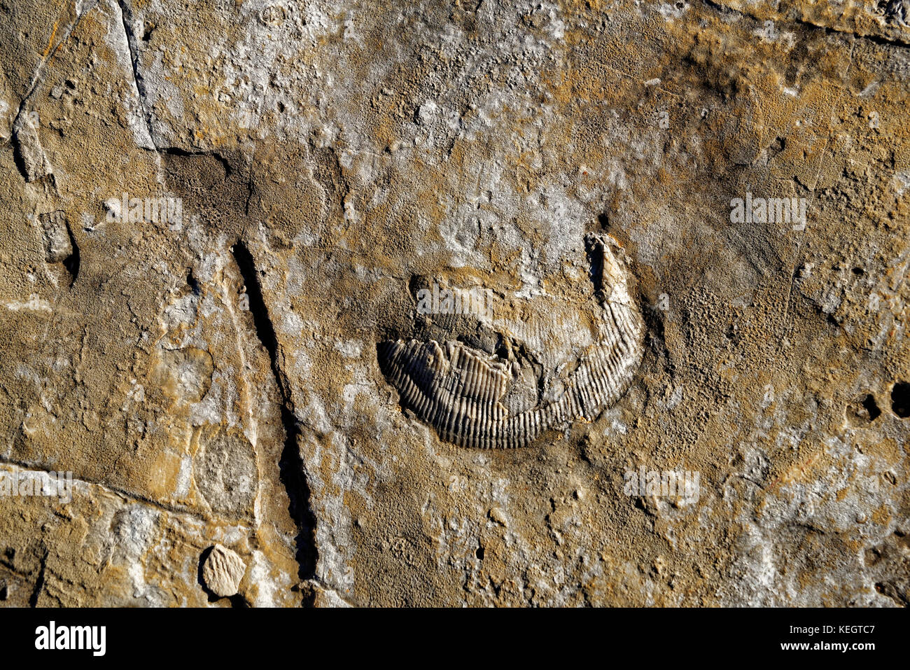 Serra de Aire e Candeeiros, was a coastal plain about 170-166 million years ago (Middle Jurassic). Stock Photo