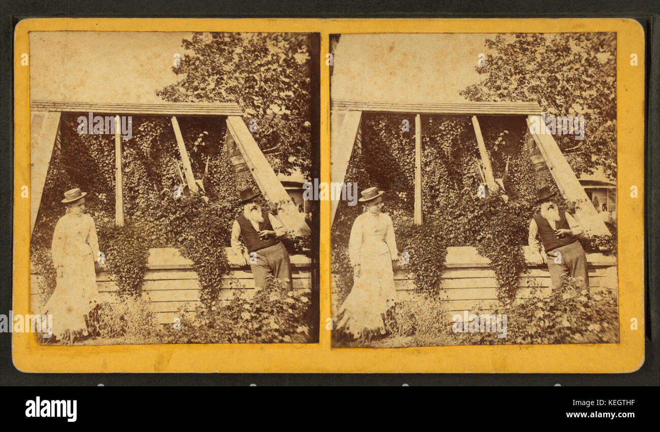 Greenhouse of I.A. Pool, Escanaba, Mich, by Wolcott, U. E Stock Photo