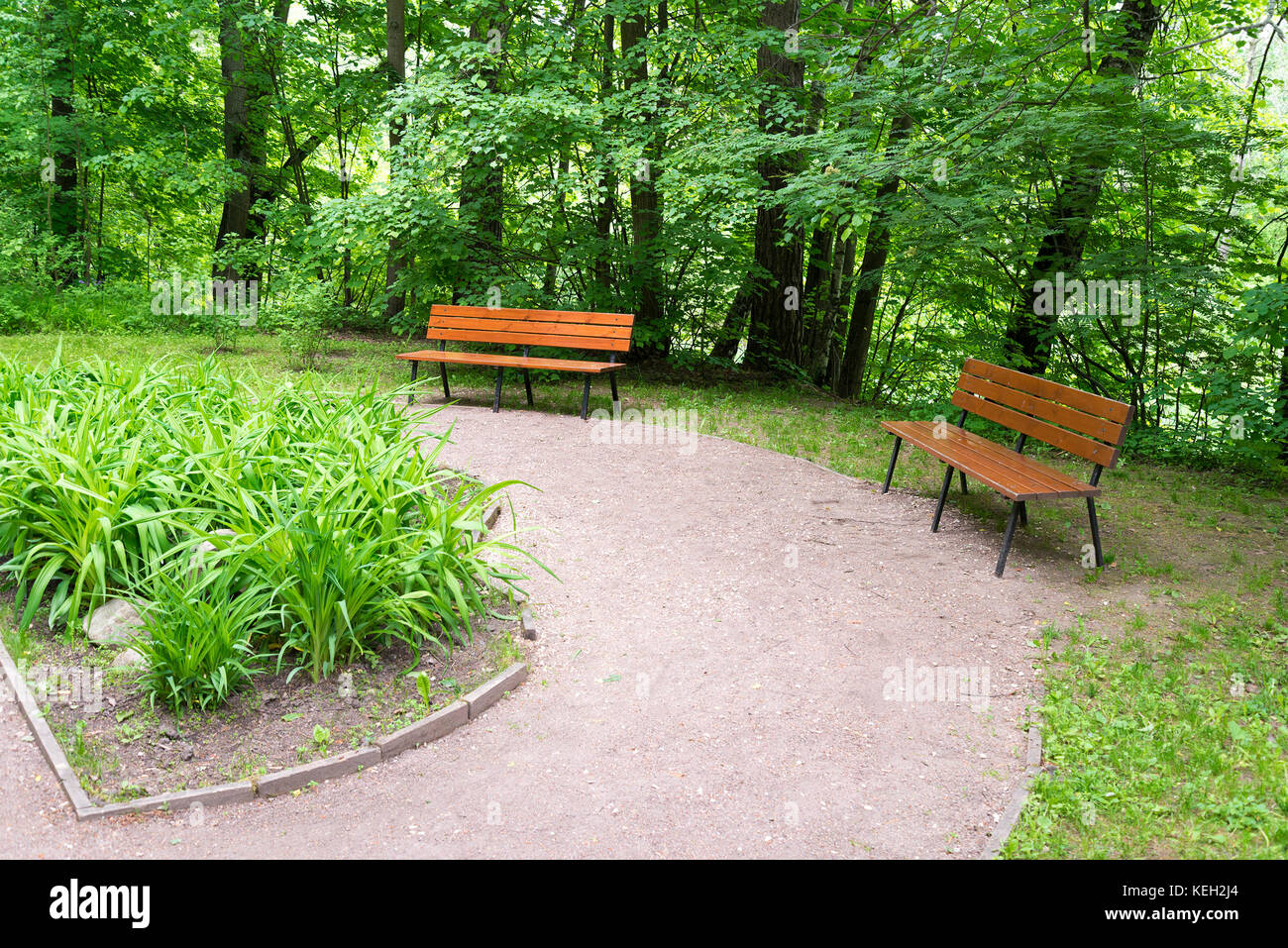 Two benches in the summer Park near the forest Stock Photo - Alamy