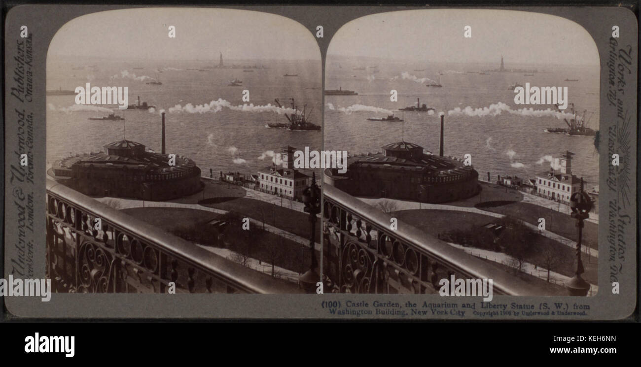 Castle Garden, the Aquarium and Liberty Statue from Washington Building, New York City, by