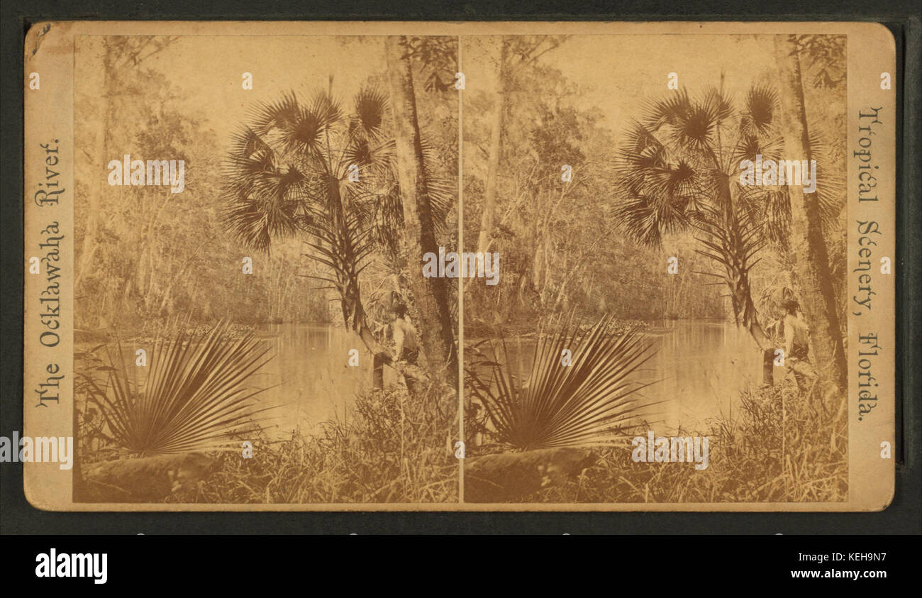 Grecian Bend. B, from Robert N. Dennis collection of stereoscopic views Stock Photo
