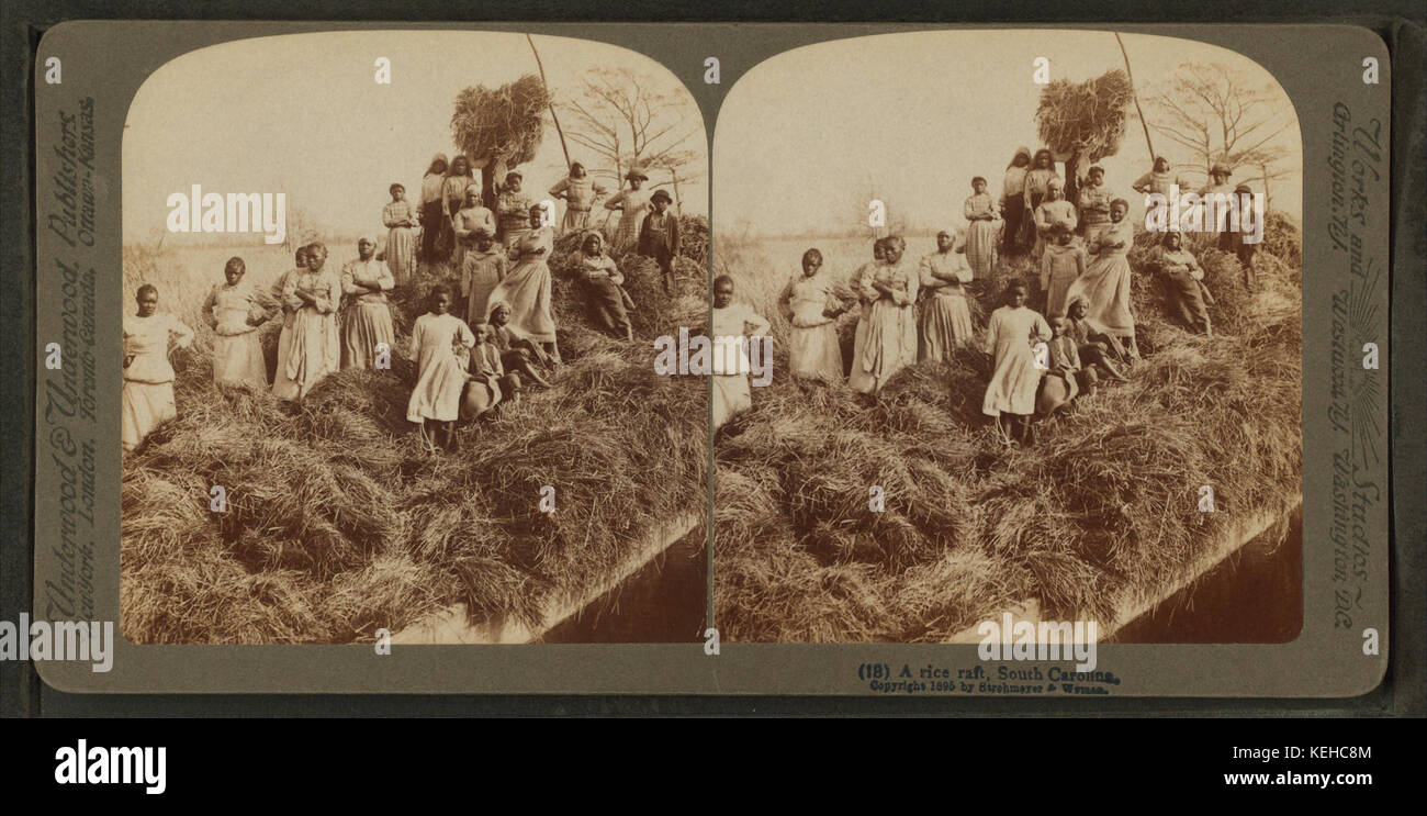 A rice raft, South Carolina, from Robert N. Dennis collection of ...
