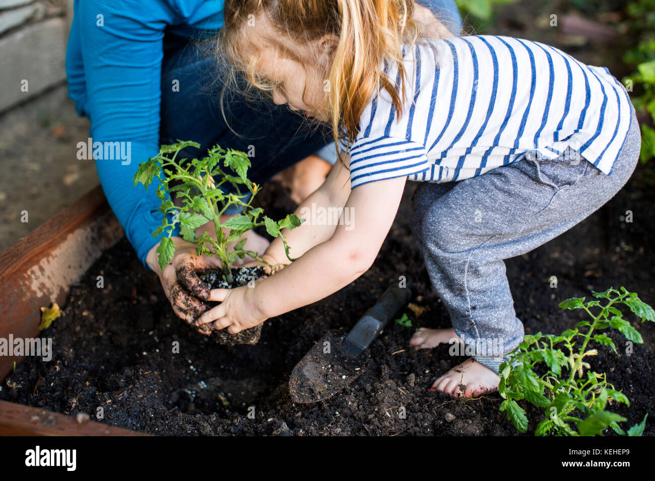Caucasian mother teaching gardening to daughter Stock Photo