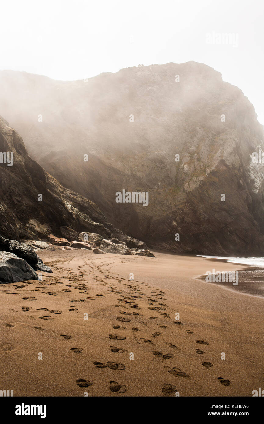 Footprints on beach Stock Photo