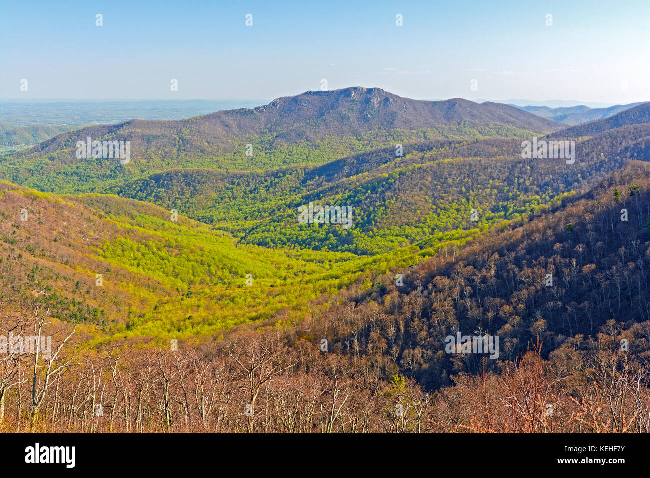The Green of Spring Starting to Move up the Mountains in Shenandoah National Park in Virginia Stock Photo