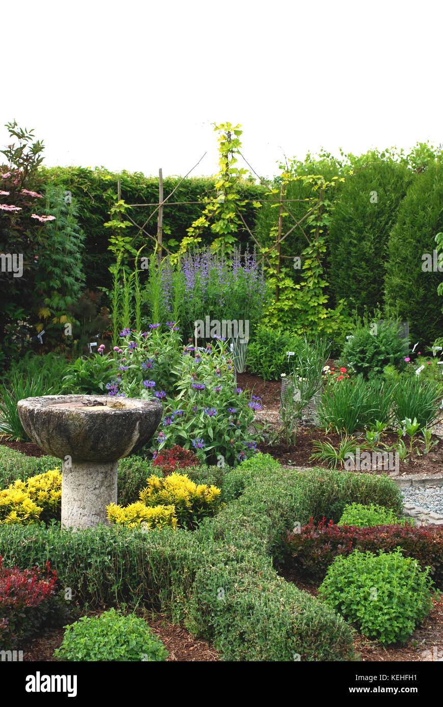Herb Garden Stock Photo
